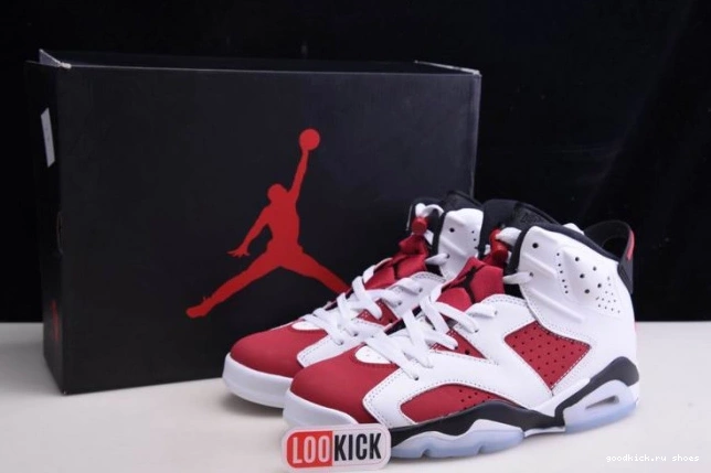 Rep RETRO CT8529-106 6 2021 AIR 'CARMINE' JORDAN 0713
